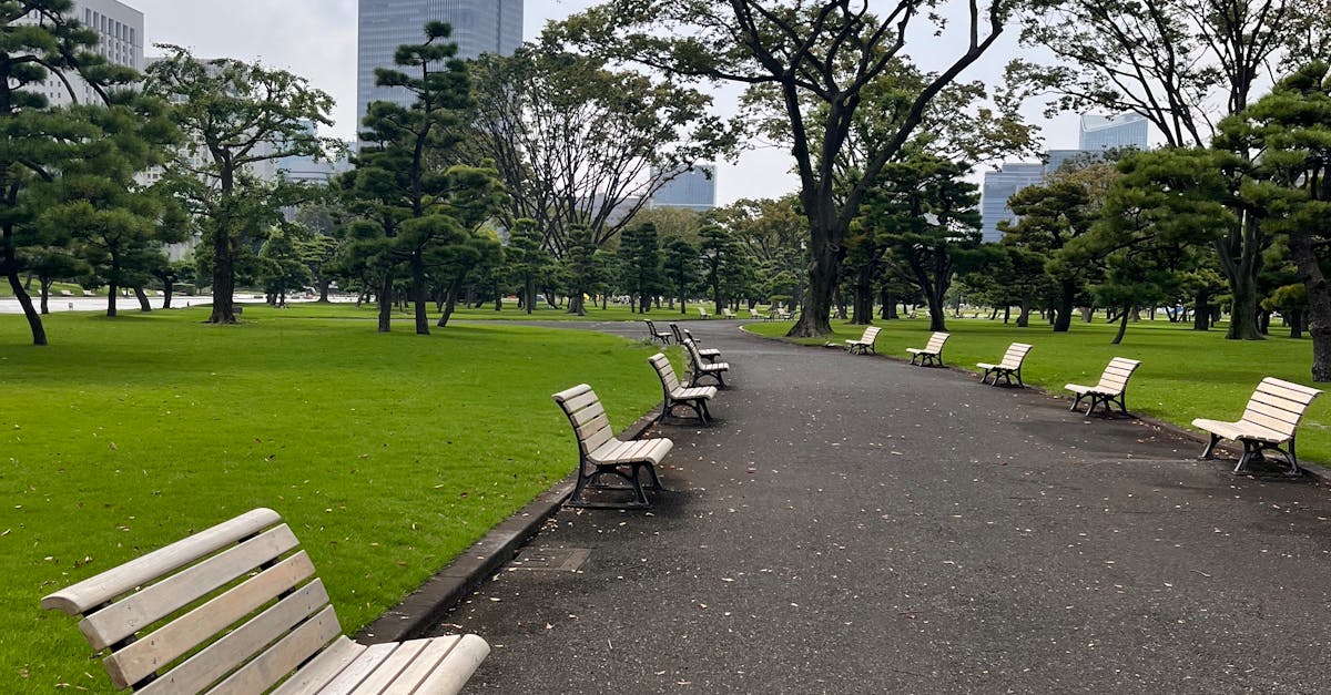 Peaceful park scene with empty benches and skyscrapers in Tokyo, Japan.